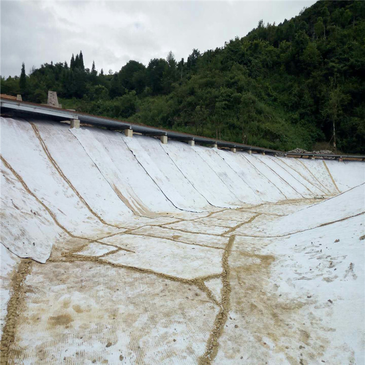 天然鈉基膨潤(rùn)土防水毯